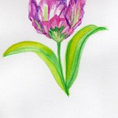Meu projeto do curso: Ilustração de elementos naturais em aquarela. Un proyecto de Ilustración tradicional, Ilustración naturalista				 y Pintura a la acuarela de Simone Gomes Siqueira - 14.11.2021