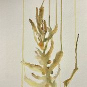 Watercolor . Een project van Traditionele illustratie van mflynn0128 - 15.11.2021