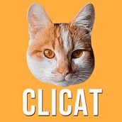 Clicat. Game Design project by Agustin Adducci Recofsky - 10.30.2021