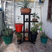 Kalu Proyectos Diseños Maderistica . % John Jairo Cardona Echeverri tarafından hazırlanan Sanat ve El Sanatları, Mobil, a Tasarımı ve Yapımı, İç Tasarım, Ahşap işçiliği, Ve Kendin Yap projesi - 11.13.2021