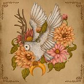 Enchanted Owl inspired by Natural Illustration with Digital Painting course . Ilustrație tradițională, Desen, Ilustrație digitală, Desen realist, Pictură digitală & Ilustrație naturalistă de kseniya_hlinka - 11.17.2021