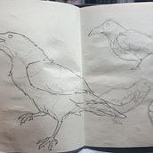 My project in Daily Sketching for Creative Inspiration course. Traditional illustration, Sketching, Creativit, Drawing, and Sketchbook project by Wenny Chow - 11.17.2021
