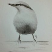 My project in Artistic Watercolor Techniques for Illustrating Birds course. Traditional illustration, Watercolor Painting, Realistic Drawing, and Naturalistic Illustration project by Hannah - 11.17.2021