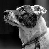 Mancha. Photograph, Portrait Photograph, Instagram Photograph, Documentar, Photograph, Lifest, and le Photograph project by Edvaldo Narciso Rodrigues - 11.18.2021