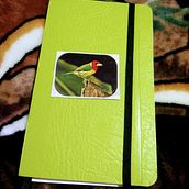 Mi Proyecto del curso:  Bullet journal . Een project van  Tekening,  H, lettering, Traditionele illustratie y  Belettering van Lina Pineda - 18.11.2021