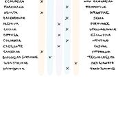Restyling logo Antrofatato. Design, Br, ing, Identit, Graphic Design, and Logo Design project by Jessica - 11.18.2021