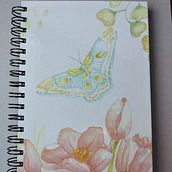 yecto del curso: Dibujo y composic acuarela. Projekt z dziedziny Trad, c, jna ilustracja,  R, sunek, Malowanie akwarelą, Ilustracja naturalist i czna użytkownika Graciela Borsarelli - 18.11.2021