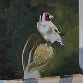 My project in Classical Oil Painting for Naturalist Bird Portraiture course. Fine Arts, Painting, Oil Painting, and Naturalistic Illustration project by Peter Downey - 11.18.2021