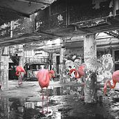 The Party. Fotografia projeto de Monica Mazzotto - 18.11.2021