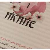 Diseño editorial. Projekt z dziedziny Grafika ed i torska użytkownika Marta Fernández - 18.11.2021