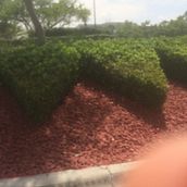 Decorar con plantas como alegría. Projekt z dziedziny Kompoz, cje kwiatowe i botaniczne, Dekoracja wnętrz i  Dekoracja wnętrz użytkownika Rodrigo Ram - 18.11.2021