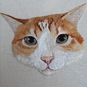 Matisse Bordado. Een project van Craft van catia_defacio - 20.11.2021