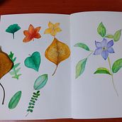 My project in Botanical Watercolor Sketchbook course Ein Projekt aus dem Bereich Traditionelle Illustration, Aquarellmalerei, Botanische Illustration und Sketchbook von Yung-Shan Zhao - 20.11.2021