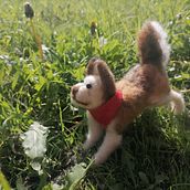 Mi Proyecto del curso: Creación de animales con needle felting. Un progetto di Artigianato, Design di giocattoli e Fiber Art di Katherine Roldan Estrada - 20.11.2021