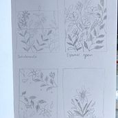 My project in Artistic Floral Watercolor: Connect with Nature course. Un progetto di Illustrazione tradizionale, Pittura, Pittura ad acquerello e Illustrazione botanica di Lisa Jane - 20.11.2021