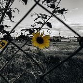 Carretera 57 y edificios. Photograph, Outdoor Photograph, and Architectural Photograph project by rv.luis - 10.17.2021