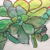 Meditative botanical sketches. Ilustração botânica, e Criatividade projeto de Virginia Fakos - 20.11.2021