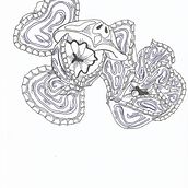 Flowanimal. Creativit, and Sketching project by yuko_taku - 11.21.2021
