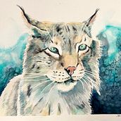 My project in Expressive Animal Portraits in Watercolor course. Projekt z dziedziny Trad, c, jna ilustracja, Malowanie akwarelą, R, sunek realist, czn, Ilustracja naturalist i czna użytkownika Marianne Elvan Barfoed - 21.11.2021