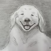 Mi Proyecto del curso: Retrato realista con lápiz de grafito. Un projet de Illustration traditionnelle, Beaux Arts, Esquisse , Dessin au cra, on, Dessin, Dessin de portrait, Dessin réaliste, Dessin artistique , et Dessin anatomique de eduromero060 - 22.11.2021