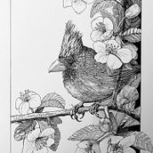 Second try with Nib Pen. Traditional illustration project by Chloe Gendron - 11.22.2021