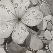 Pencil draw. Un progetto di Disegno a matita di Laura Mangialavori - 17.11.2021