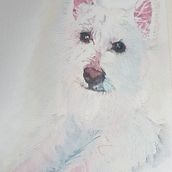 My Expressive Animal Portrait in Watercolour: My late Noely, West Highland White Terrier . Traditional illustration, and Watercolor Painting project by Lurdes Hull - 11.20.2021