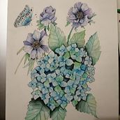 Acquarello naturalistico . Een project van  Tekening y Traditionele illustratie van Martina - 22.11.2021