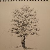 Il mio progetto del corso: Sketching quotidiano per potenziare la creatività. Traditional illustration, Sketching, Creativit, Drawing, and Sketchbook project by simosini - 11.23.2021