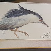 Meu projeto do curso: Aquarela naturalista com expressão e personalidade. Traditional illustration, Watercolor Painting, and Naturalistic Illustration project by Jacelyne Wulczak - 11.14.2021