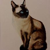 Expressive watercolor portraits with Sarah Stokes. Traditional illustration, Fine Arts, and Watercolor Painting project by Carmen Davalos - 11.20.2021