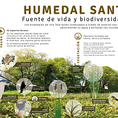 La Ruta de Los Humedales. Un progetto di Graphic design, Infografica e Illustrazione vettoriale di Dafne Gho Illanes - 10.08.2020