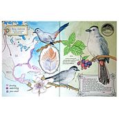 Bird Book. Traditional illustration, Watercolor Painting, Architectural Illustration, and Sketchbook project by rinakatz - 11.25.2021