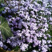 Suknia z epoki napoleońskiej. Un proyecto de Costura, Bordado, Diseño de moda, Creatividad, Pattern Design, Artesanía y Diseño de vestuario de Dorota - 25.11.2021