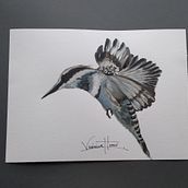 Colibrí. Mi Proyecto del curso: Acuarela naturalista con expresión y personalidad. Un proyecto de Ilustración tradicional, Pintura a la acuarela e Ilustración naturalista				 de VERONICA SHIGUETA CASTILLO - 26.11.2021