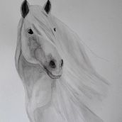 Mi Proyecto del curso: Retratos expresivos de animales en acuarela. Traditional illustration, Watercolor Painting, Realistic Drawing, and Naturalistic Illustration project by Maribel de la Torre - 11.26.2021