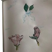 Meu projeto do curso: Caderno botânico em aquarela. Traditional illustration, Watercolor Painting, Botanical Illustration, and Sketchbook project by leonardo_golob - 11.27.2021