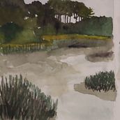 Premières Aquarelles Ein Projekt aus dem Bereich Traditionelle Illustration von mymy_87865322467 - 20.10.2021