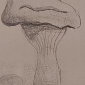 Premiers croquis Ein Projekt aus dem Bereich Traditionelle Illustration von mymy_87865322467 - 28.11.2021