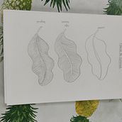 Mon projet du cours : Carnet botanique à l’aquarelle. Traditional illustration, Watercolor Painting, Botanical Illustration, and Sketchbook project by Larissa BERNARD - 11.28.2021