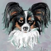 My Papillon Lia Ein Projekt aus dem Bereich Traditionelle Illustration von agnese_zarzycka - 28.11.2021