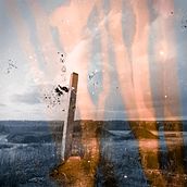 When we are gone. Photograph project by Martin Kull - 11.28.2021