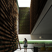 A Green Dream. Un proyecto de Arquitectura interior, Diseño, Ilustración tradicional y Retoque fotográfico de Martin Galicia - 11.11.2020