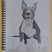 Sonrisa canina. Projekt z dziedziny R, sunek ołówkiem, R, sunek realist i czn użytkownika Maydel DRG - 29.11.2021