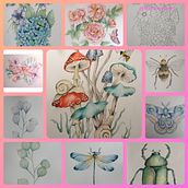 Progetti per il corso di disegno e composizione naturalistica ad acquarello . Een project van Traditionele illustratie van Martina - 29.11.2021