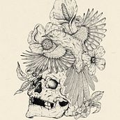 Mi Proyecto del curso: Ilustración naturalista con bolígrafo. Projekt z dziedziny Trad, c, jna ilustracja,  R, sunek, R, sunek realist, czn, Ilustracja naturalist i czna użytkownika Stiven Cortes - 29.11.2021