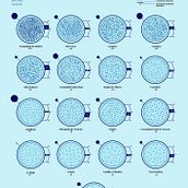 Densidad de Población por Comunidades Autónomas en España. Design de informação, Design interativo e Infografia projeto de Francisco Javier Vega Cabello - 27.11.2021