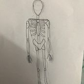 Mi Proyecto del curso: Dibujo anatómico para principiantes. Fine Arts, Sketching, Pencil Drawing, Drawing, Realistic Drawing, and Figure Drawing project by jotha_88 - 11.30.2021