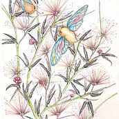 Cicadas on Rose Caliandra - Cigarras sobre Caliandra Rosa . Traditional illustration, Drawing, Watercolor Painting, and Naturalistic Illustration project by claudia regina - 11.30.2021