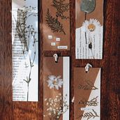 Meu projeto do curso: Técnicas básicas para prensar flores e plantas. Artesanato, Artes plásticas, Colagem, DIY, e Design floral e vegetal projeto de Raquel Cristina Francisco - 30.11.2021